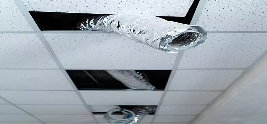 Our Air Duct Pet Hair Removal Services in Southlake, TX