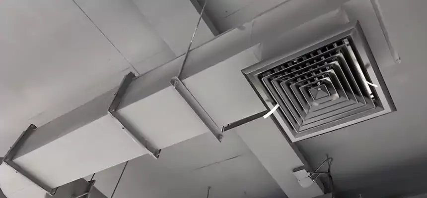 Our Pest Removal From Ducts Services in Southlake, TX