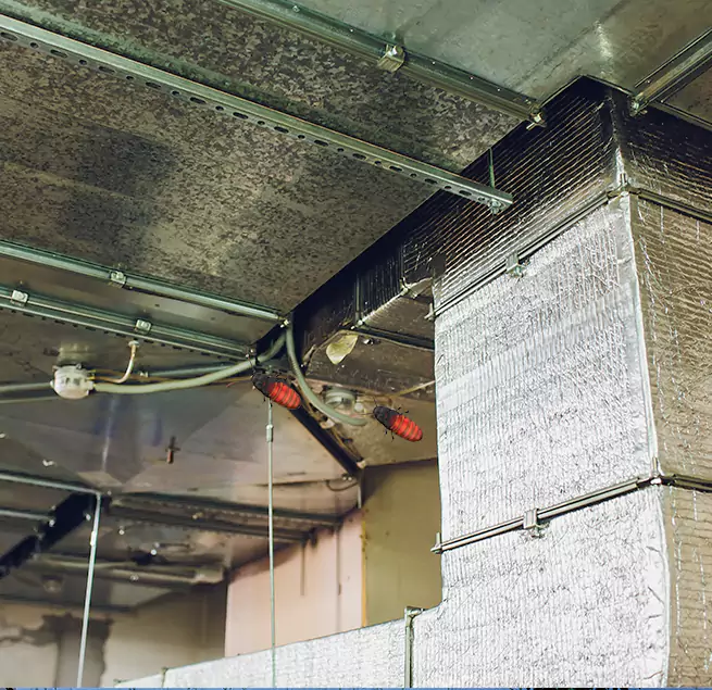 Why Homeowners & Businesses Trust Us in Southlake, TX?