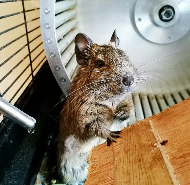 Why Homeowners & Businesses Trust Us Southlake, TX