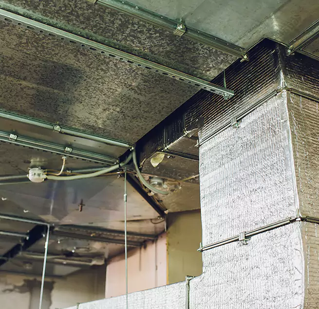 Why Homeowners & Businesses Trust Us in Southlake, TX?